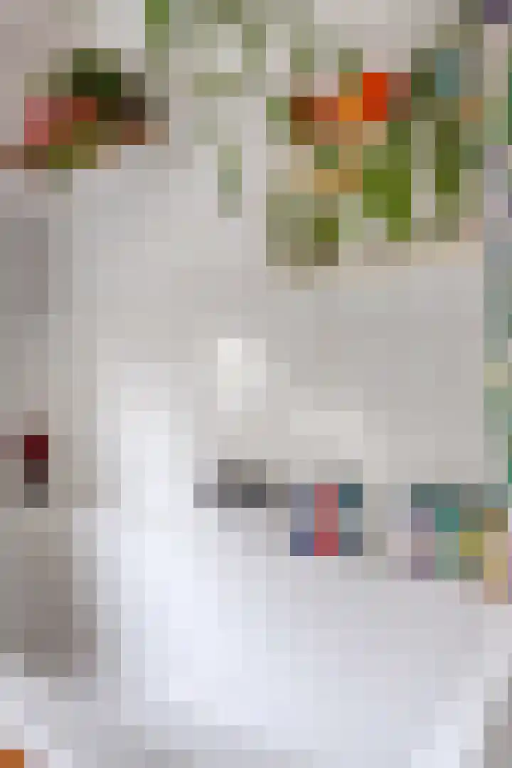 Grote Beer 43 Zeewolde thumbnail 22