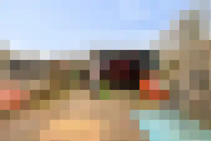 Grote Beer 43 Zeewolde thumbnail 28