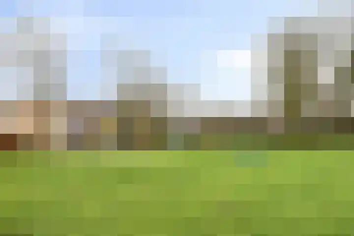 Grote Beer 43 Zeewolde thumbnail 31