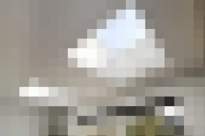 Grote Beer 5 Bleiswijk thumbnail 16