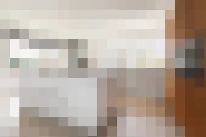 Grote Beer 5 Bleiswijk thumbnail 21