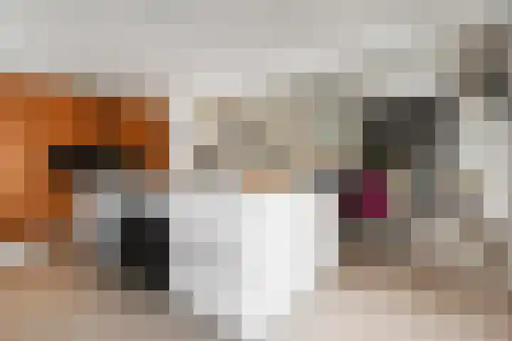 Grote Beer 5 Bleiswijk thumbnail 23