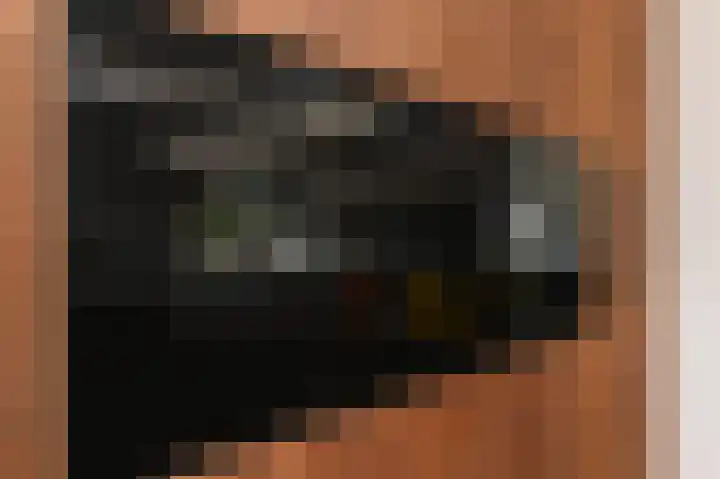 Grote Beer 5 Bleiswijk thumbnail 25