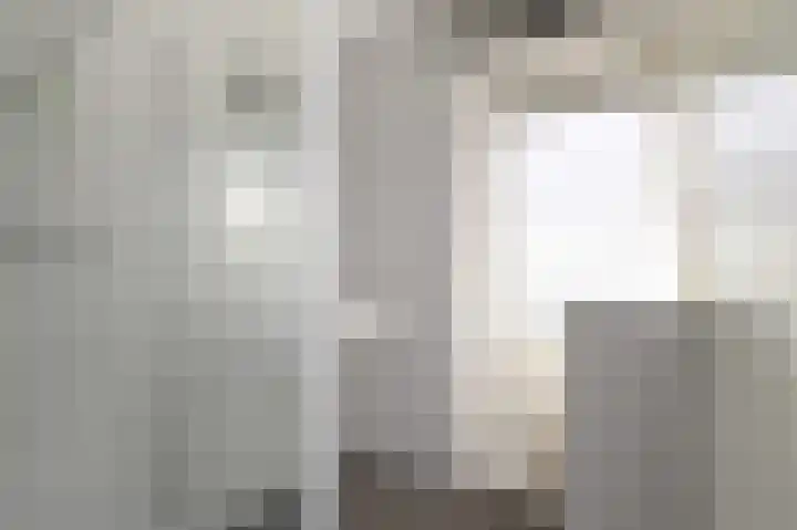 Grote Beer 5 Bleiswijk thumbnail 37