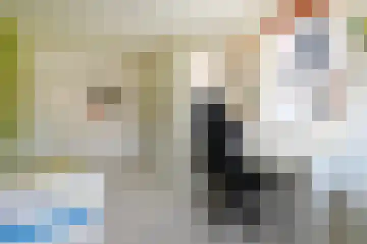 Grote Beer 5 Bleiswijk thumbnail 41