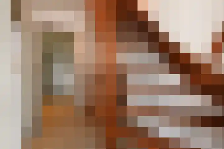 Grote Beer 5 Bleiswijk thumbnail 42