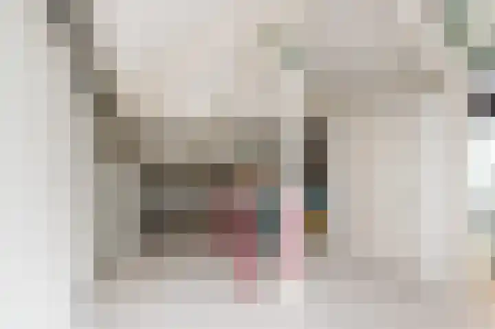 Grote Beer 5 Bleiswijk thumbnail 47