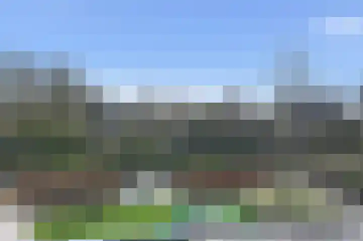 Grote Beer 5 Bleiswijk thumbnail 49