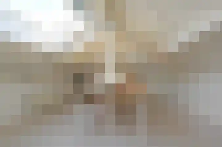 Grote Beer 5 Bleiswijk thumbnail 51