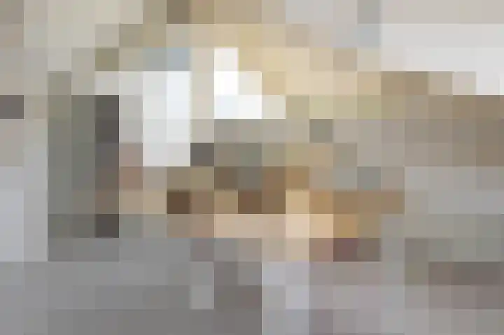 Grote Beer 5 Bleiswijk thumbnail 52