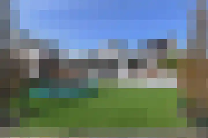 Grote Beer 5 Bleiswijk thumbnail 6