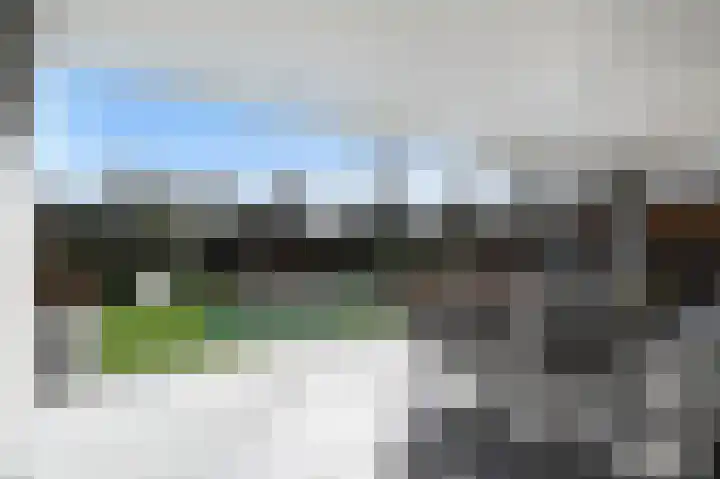 Grote Beer 5 Bleiswijk thumbnail 66