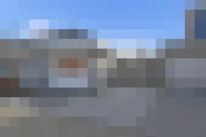 Grote Beer 5 Bleiswijk thumbnail 7