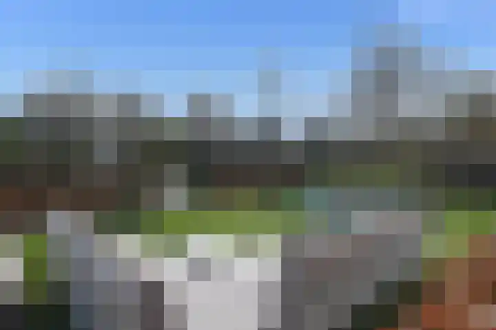 Grote Beer 5 Bleiswijk thumbnail 70