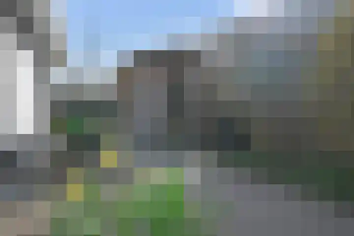 Grote Beer 5 Bleiswijk thumbnail 72