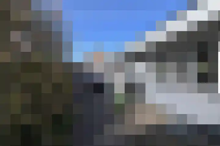 Grote Beer 5 Bleiswijk thumbnail 73
