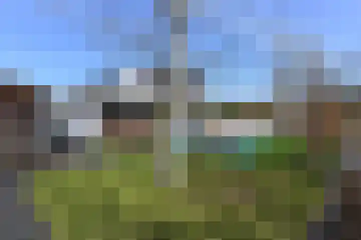 Grote Beer 5 Bleiswijk thumbnail 74