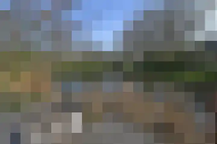 Grote Beer 5 Bleiswijk thumbnail 76