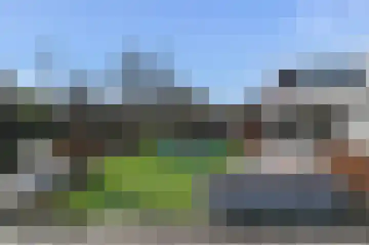 Grote Beer 5 Bleiswijk thumbnail 77