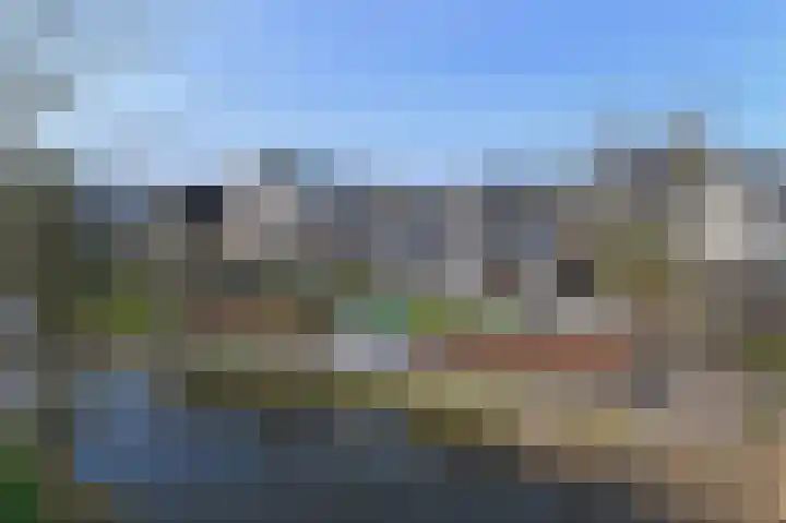Grote Beer 5 Bleiswijk thumbnail 79