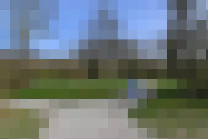Grote Beer 5 Bleiswijk thumbnail 82