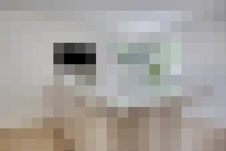Grote Beer 75 Zeewolde thumbnail 19