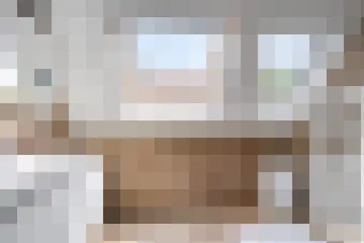 Grote Beer 75 Zeewolde thumbnail 32