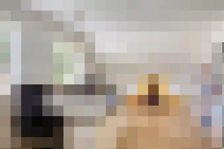 Grote Beer 75 Zeewolde thumbnail 37