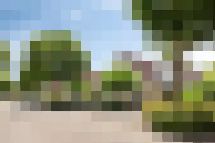 Grote Beer 75 Zeewolde thumbnail 4