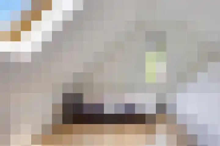 Grote Beer 75 Zeewolde thumbnail 41