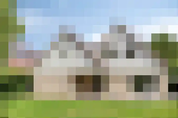 Grote Beer 75 Zeewolde thumbnail 42