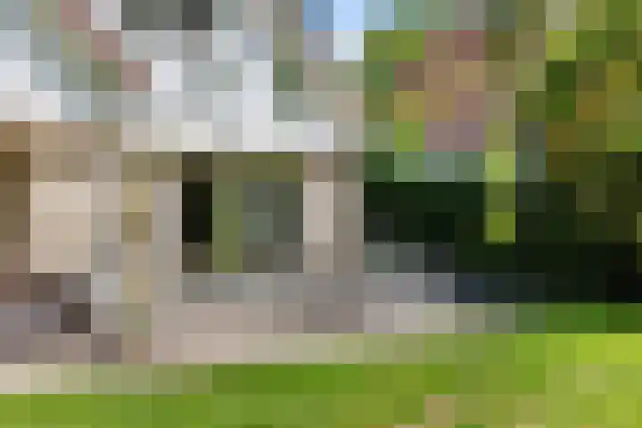 Grote Beer 75 Zeewolde thumbnail 43