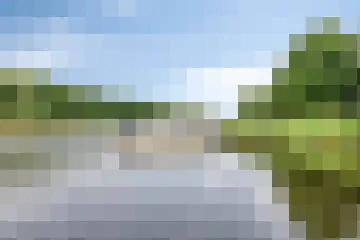 Grote Beer 75 Zeewolde thumbnail 49