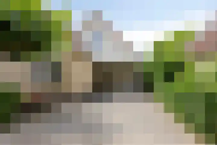 Grote Beer 75 Zeewolde thumbnail 5