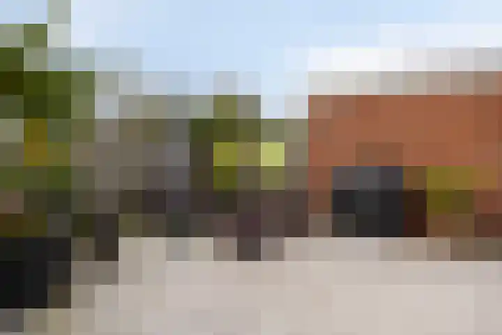 Grote Belt 4 Delfzijl thumbnail 41