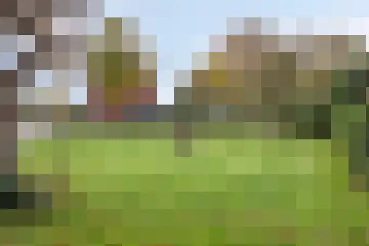 Grote Belt 4 Delfzijl thumbnail 45