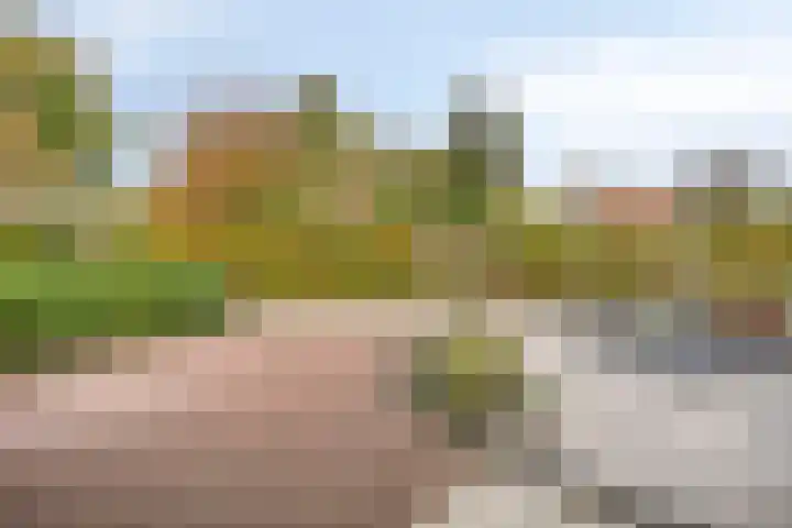 Grote Belt 4 Delfzijl thumbnail 5