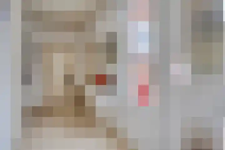 Grote Belt 4 Delfzijl thumbnail 9
