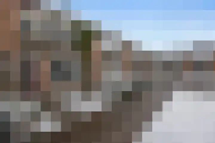 Grote Belt 66 Veendam thumbnail 30