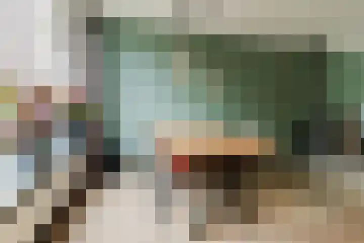 Grote Beukelaer 46 Heino thumbnail 10
