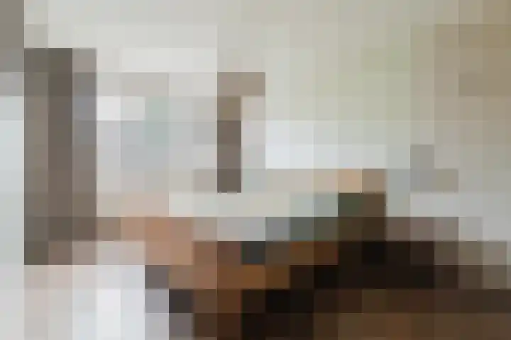 Grote Beukelaer 46 Heino thumbnail 15