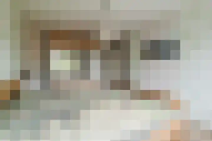 Grote Beukelaer 46 Heino thumbnail 16