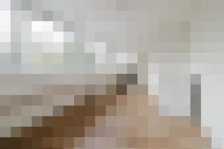 Grote Beukelaer 46 Heino thumbnail 22