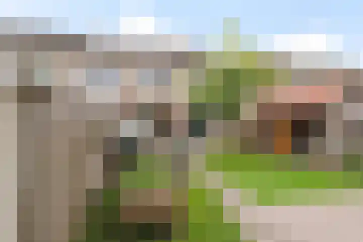 Grote Beukelaer 46 Heino thumbnail 25