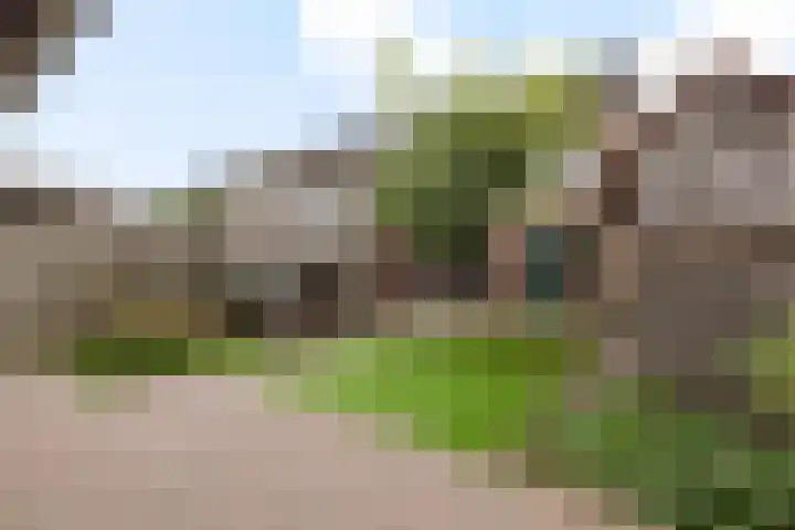 Grote Beukelaer 46 Heino thumbnail 26