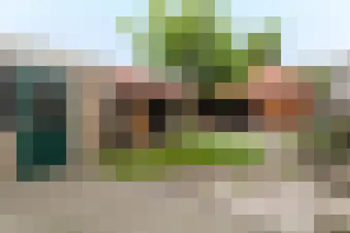 Grote Beukelaer 46 Heino thumbnail 27