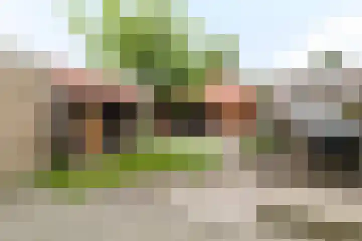 Grote Beukelaer 46 Heino thumbnail 28