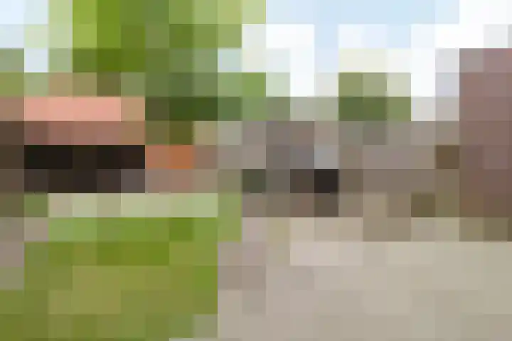 Grote Beukelaer 46 Heino thumbnail 29