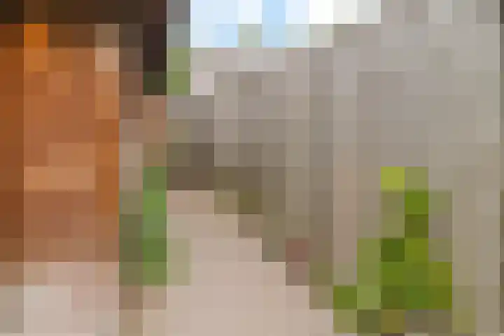 Grote Beukelaer 46 Heino thumbnail 33