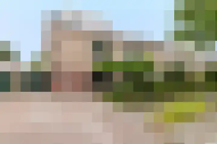 Grote Beukelaer 46 Heino thumbnail 35